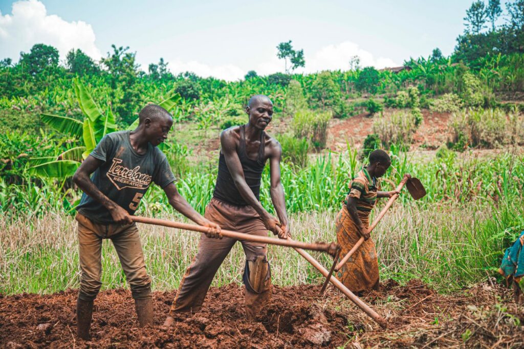 Three farmers manually plowing fields in a vibrant rural setting, showcasing teamwork and agriculture.