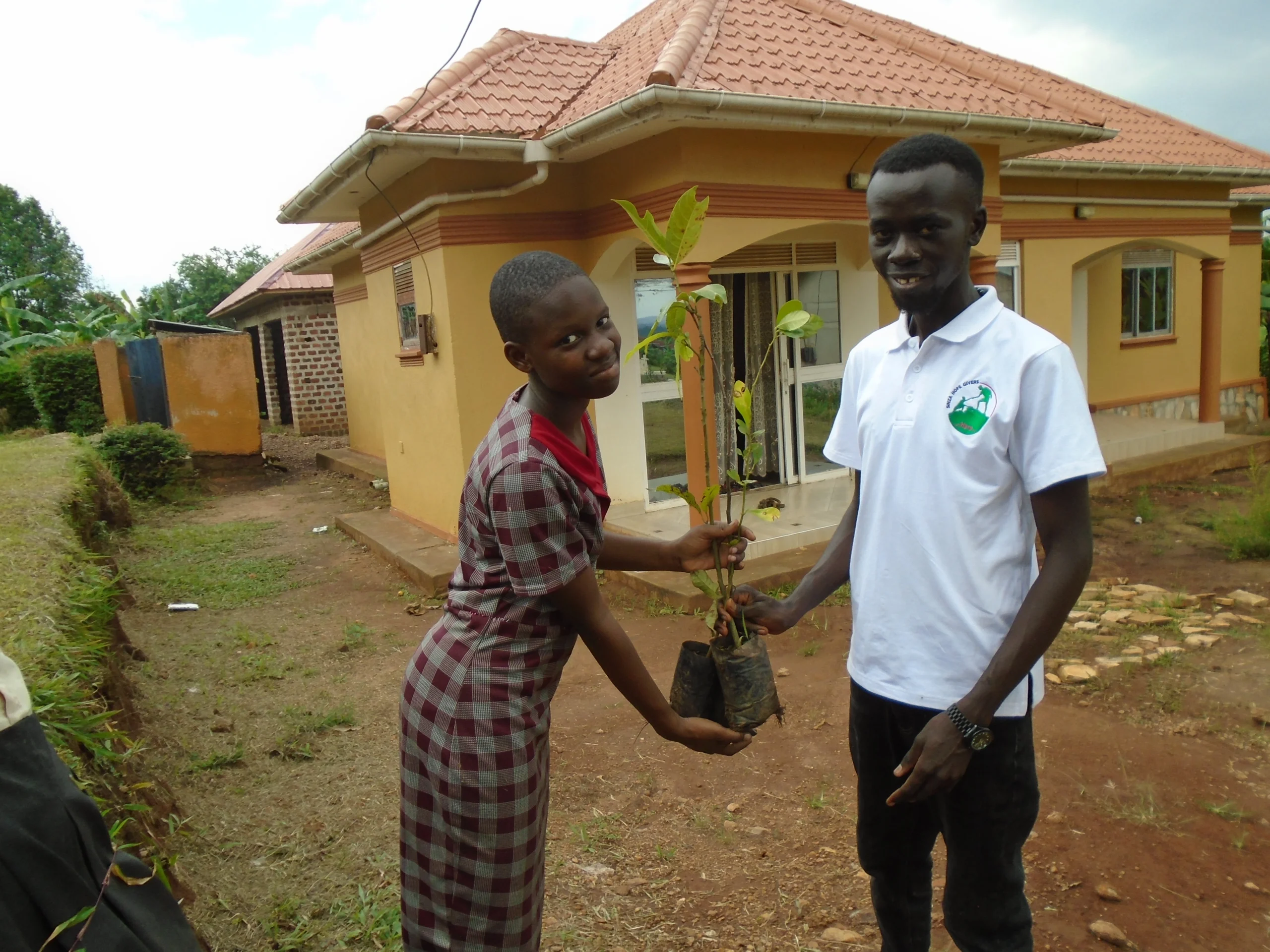 Program activity
